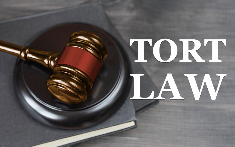 What Is The Role Of The Tort Law