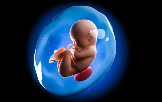 Rights of an Unborn Person