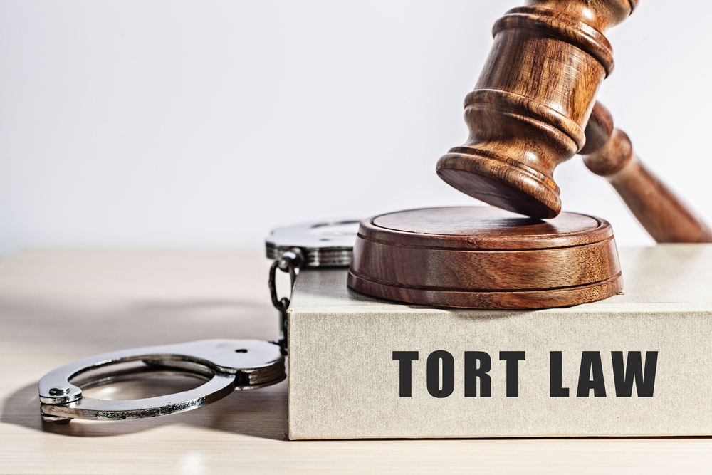 What Is A Remedy In Tort Law